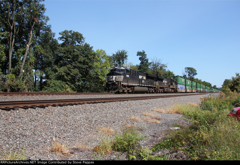 NS 3666 leading 29G 